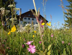 Résidence de vacances Métabief Doubs.