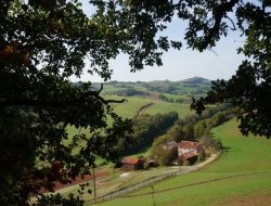 Holiday cottages near Millau and Roquefort in France