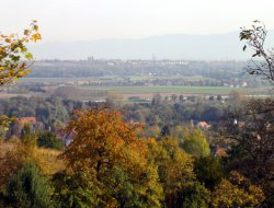 Gites de vacances en Alsace.