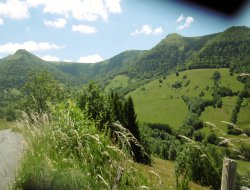 Holiday home in the Cantal, Auvergne. near Badailhac