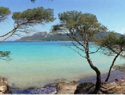 camping et mobilhome a louer à Hyeres (Var)