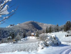 Louer un gite en Alsace.