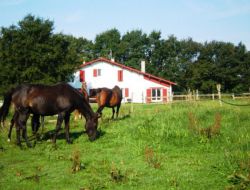 Gite a louer dans le Pays Basque.