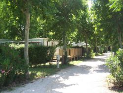 Vacances en mobilhomes à Carpentras 84.