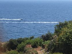 Gites a louer près de Bastia en Corse.