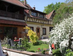 Holiday home near Colmar in Alsace. near Baldenheim