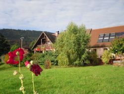 Holiday cottages in Alsace, France