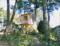 Unusual stay in perched hut in Loire Atantique. near Campbon
