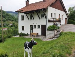Grand chalet a louer a la Bresse 88