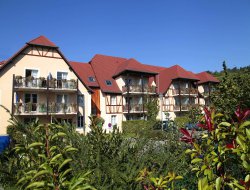Residence de vacances avec piscine chauffée en Alsace
