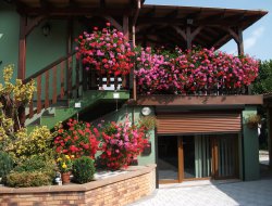 Holiday rental in the centre of Alsace, France. near Nothalten