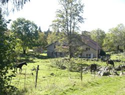 Gite et ferme equestre dans le Jura (39)