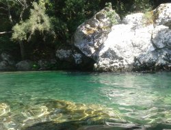 vacances en Haute Corse  Moltifao n6397