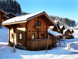 Holiday rental in Morillon, Alps ski resort.