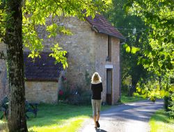 Gites, chambres d'hôtes près de Montignac