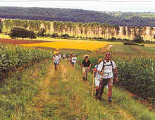 Randonnée en Lorraine