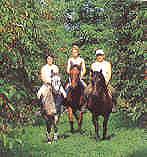 Ballade a cheval