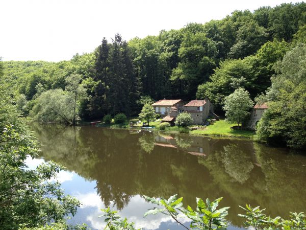 La rivire en foret de mervent