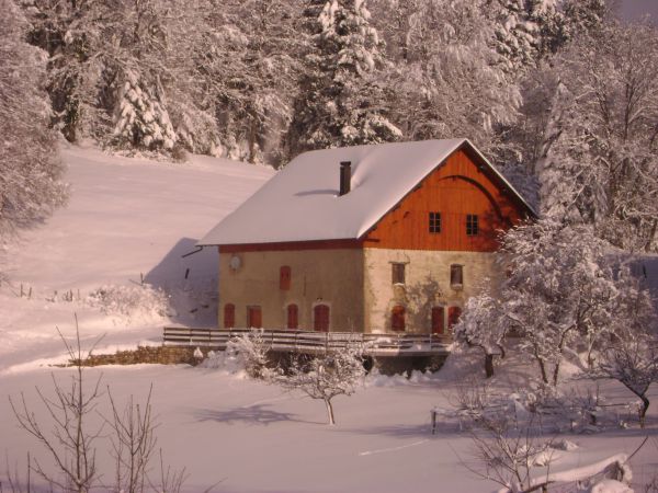 Quand l'hiver arrive...