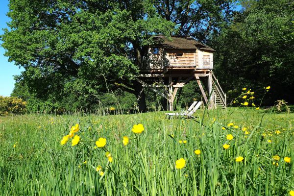 La cabane des chnes - la cabane du perche