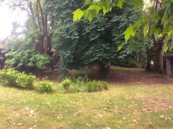Jardin interieur