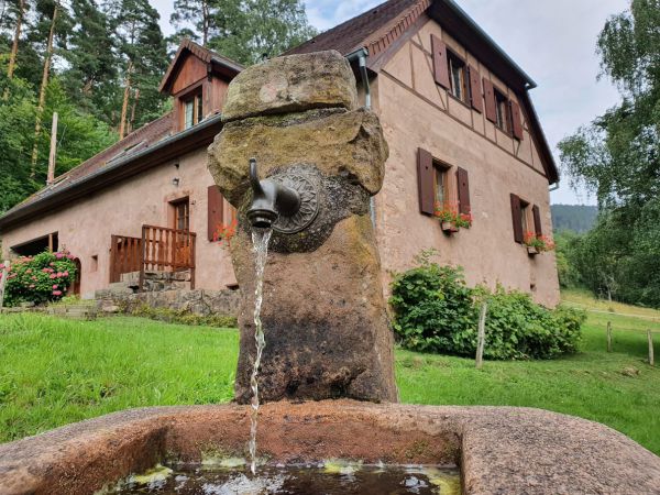 Le corps de ferme et sa fontaine