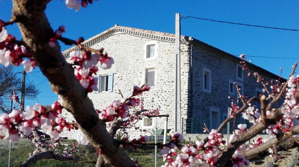 La maison au printemps