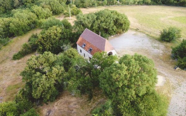 La grange dans son environnement entre pruniers et