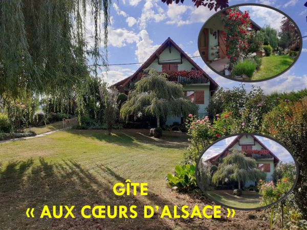 Jardin devant la maison