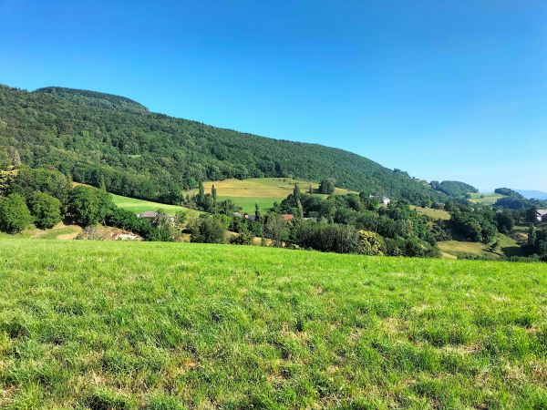 La vue derrire le gite