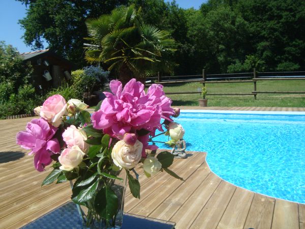 Piscine chauffe