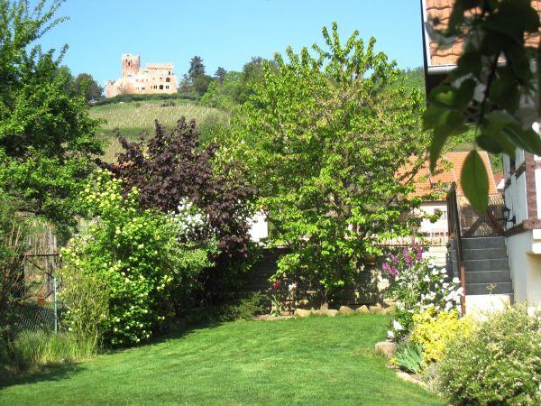Jardin , et vue imprenable sur le chteau de kintz