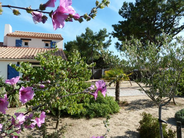     jardin et aire de jeux 