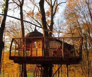 Cabane 3 Quercus - Jura