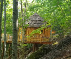 Location vacances 6 personnes  24 km* de Venterol