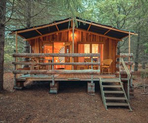 La Cabane des Trappeurs de la Vitarelle - Aude
