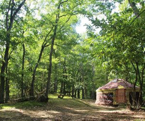 Gensac De Boulogne La Petite Yourte - Haute-Garonne