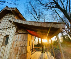 Guerldan La Maison de Merlin, cabane magique avec SPA - Ctes-d'Armor