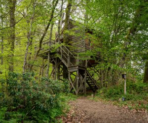 Raon Aux Bois Vosges cabane perche en Lorraine