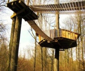 Giffaumont Champaubert Cabane cureuil - Marne