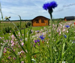 Location 4 personnes  29 km* de Thonnance les Moulins