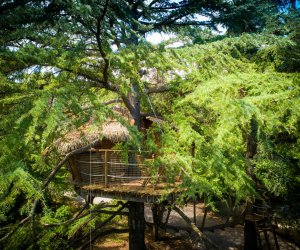 Castries Hrault cabane perche en Languedoc Roussillon
