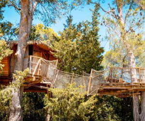 Castries Hrault cabane perche en Languedoc Roussillon