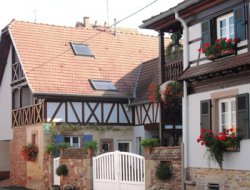 Gite près d'Obernai en Alsace