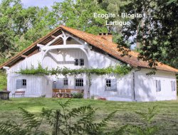 vacances dans les Landes  Garein n11211