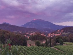 Holiday home in Vaison la Romaine in Provence.