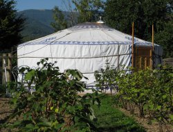 Unusual holidays in Yurt in Alsace