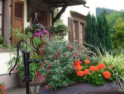 Gîte rural dans le Bas Rhin en Alsace.