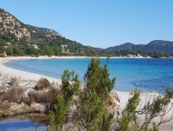 Corse du Sud gite en location - 12089