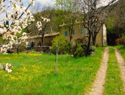 Holiday home for a group in Languedoc Roussillon near Cubires sur Cinoble